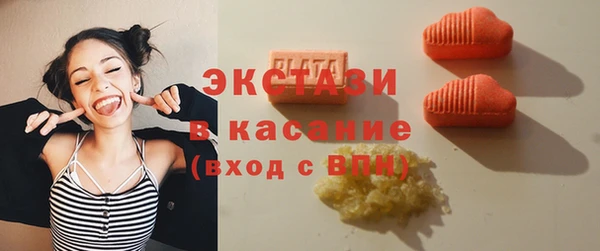 прущие грибы Инта