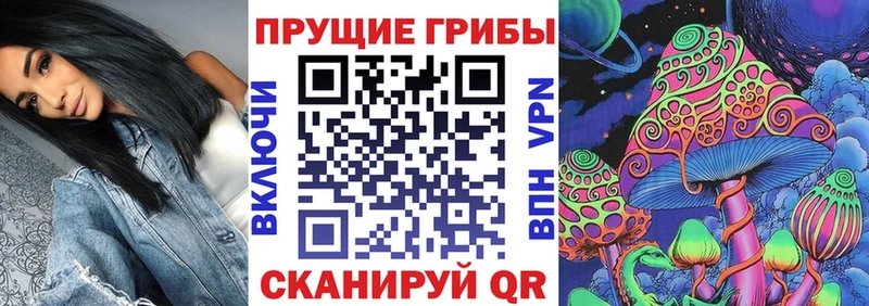 где можно купить   Артём  Псилоцибиновые грибы прущие грибы 