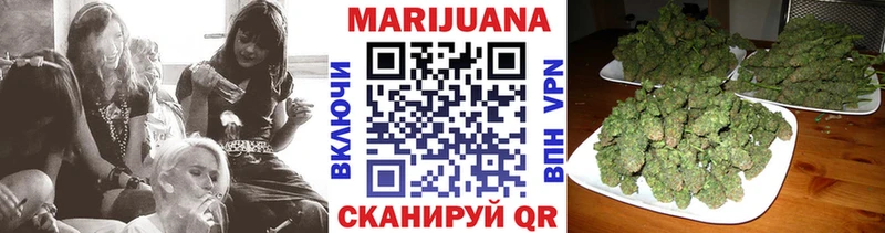 Конопля индика  Артём 
